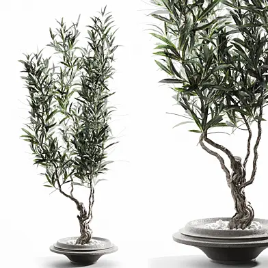 Branches in vases 95
