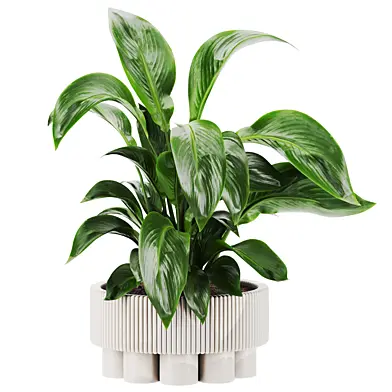 Plants set 96