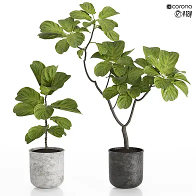 plants set 21
