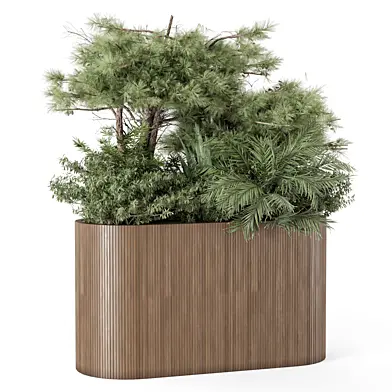Outdoor Plants  in Wooden Pot - Set 2272