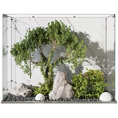 courtyard garden Shrubs and trees behind the glass 329