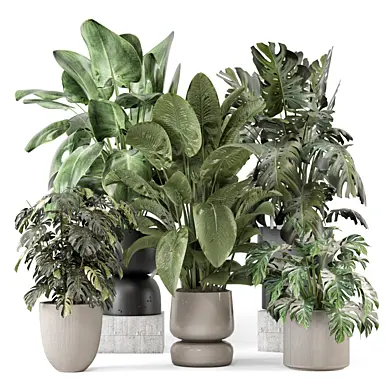 Indoor Plants in Ferm Living Bau Pot Large - Set 2286