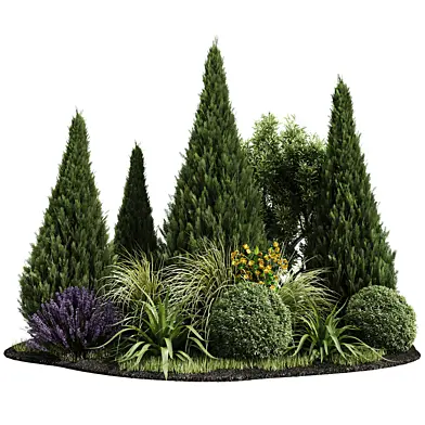 Outdoor Plants 8