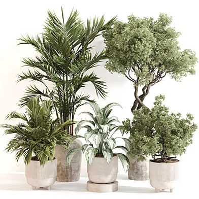 Indoor Plant Set 0123