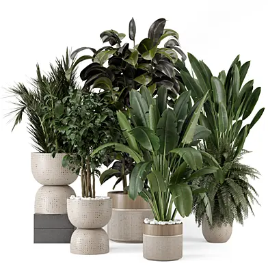 Indoor Plants in Ferm Living Bau Pot Large - Set 2356
