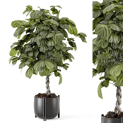Indoor Plants  in Handmade Metal Pot - Set 2363