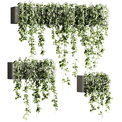 Outdoor Plant 22