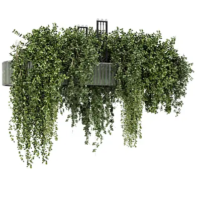 Hanging Plants in Green Tile Base - Set 2387