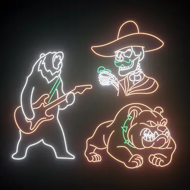 Neon 213