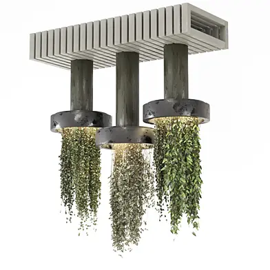 indoor hanging plants collecion_set 1364