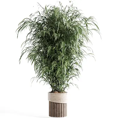 indoor plant Set 115