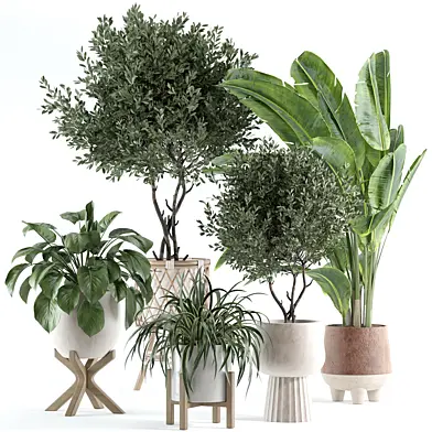 indoor plant 314