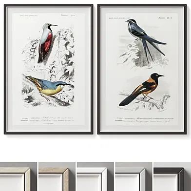 Picture Frames Set -551