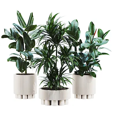 Plants set 142