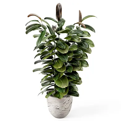 Indoor Plants in rusty Concrete Pot - Set 2433