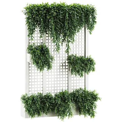 Plants set 148