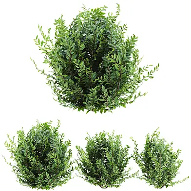 Plants set 150