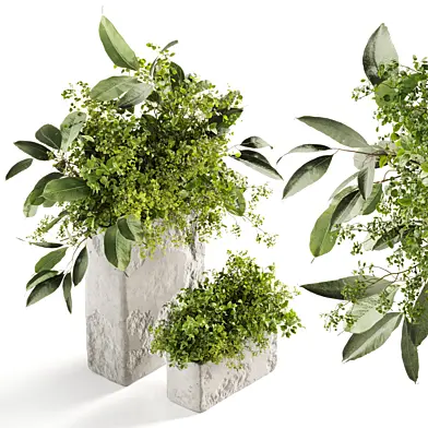 Plants 09