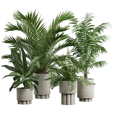 Indoor Plants Pack 76