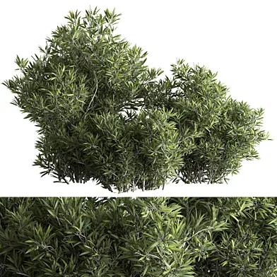 Mixed Plant Bush Set 148