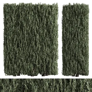 Cubic Needle Bush 147