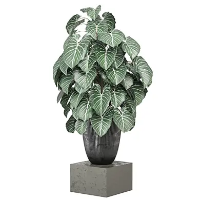 indoor Plants Collection - Set 1390
