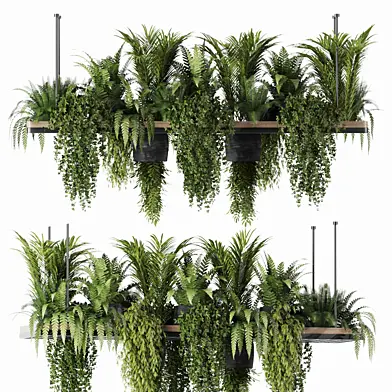 Indoorplants- Hanging Plants Set60
