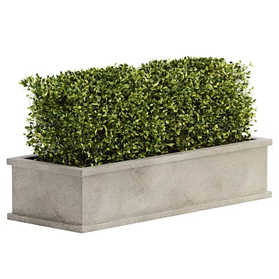 Outdoor Plant Set 04