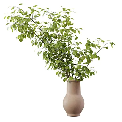 Plant Bouquet 11