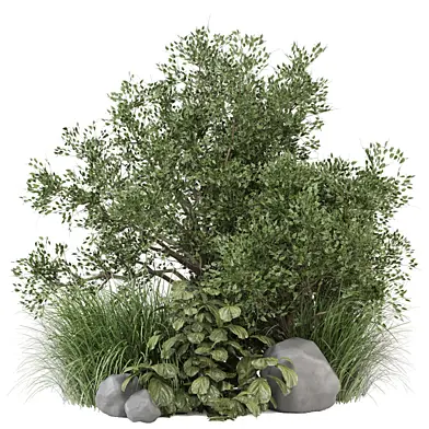 bush and tree plants 1409