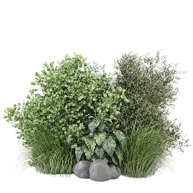 bush and tree plants 1410