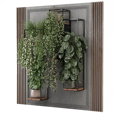 indoor hanging plants in metal shelf 1417