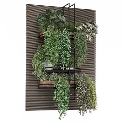 indoor  plants in metal shelf 1447