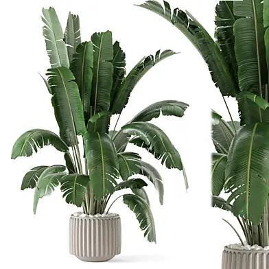 Indoor Plants in Ferm Living Bau Pot Large 2562