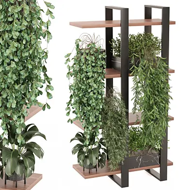 indoor plants in metal shelf 1460