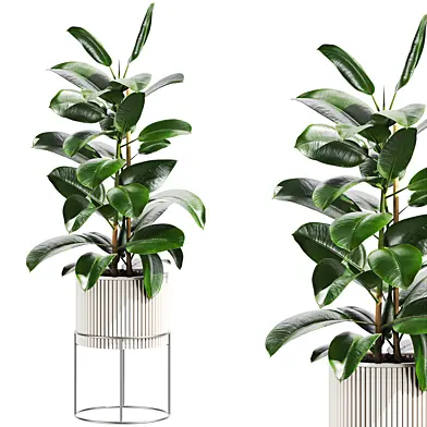Plants set 165