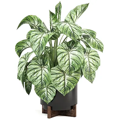 indoor Plants Collection 1474
