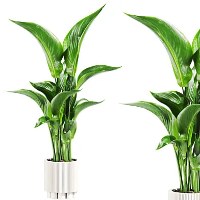 Plants set 166