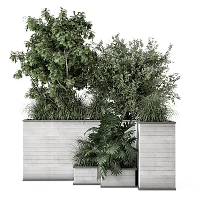 Backyard and Landscape Bush Tree 2589