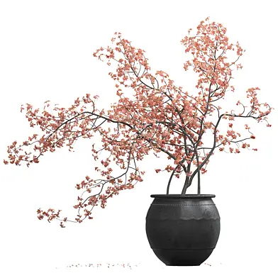 IndoorPlant 12