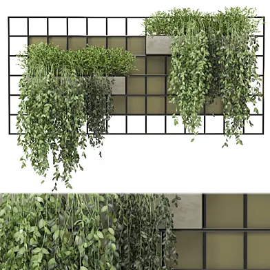 indoor hanging Plants Collection 1484