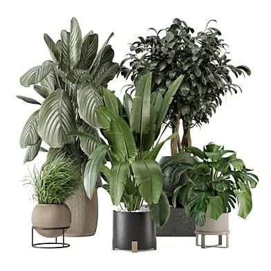 Indoor Plants in Ferm Living Bau Pot Large 2599