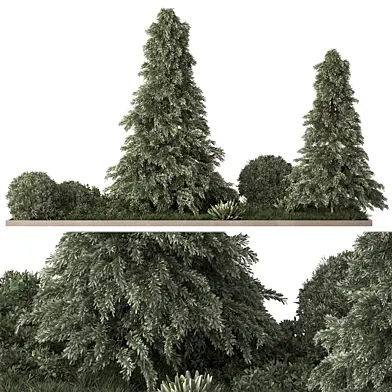 Plant Box - Outdoor Plants 656