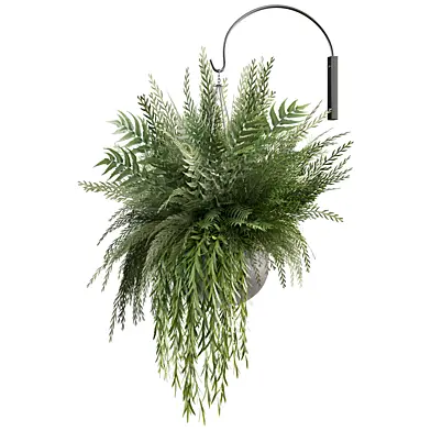 Indoorplants-Hanging set-72