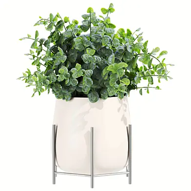 Plants set 175