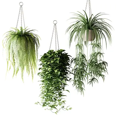 Plants in hanging wicker planters | Растения в подвесных плетёных кашпо