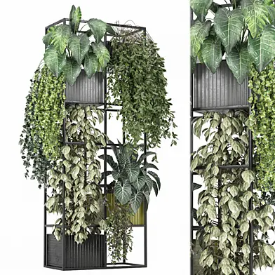 indoor Plants Collection 1498