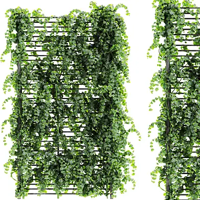 Plants set 183
