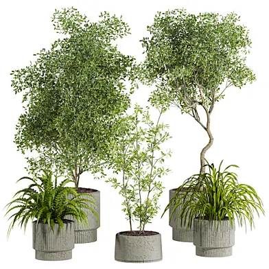 Plants Set 26