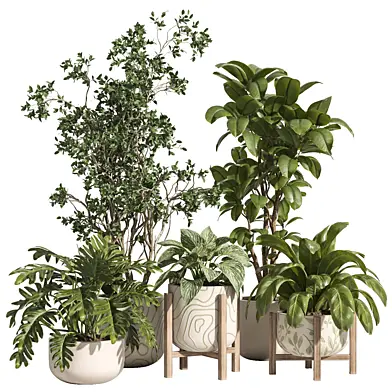 indoor plant set 88- ceramic and wood